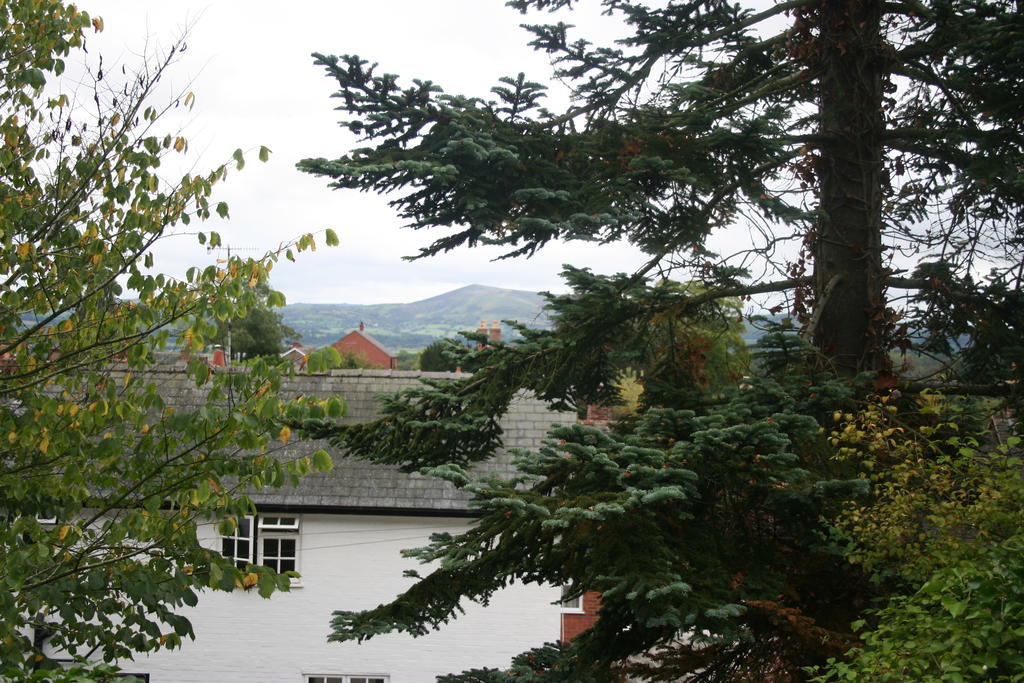 The Dragon Hotel Монтгомери Экстерьер фото